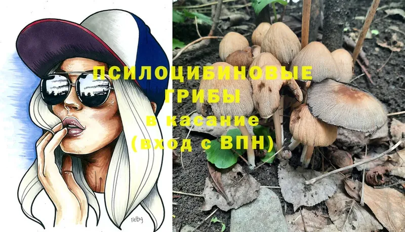 Псилоцибиновые грибы MAGIC MUSHROOMS  Борисоглебск 